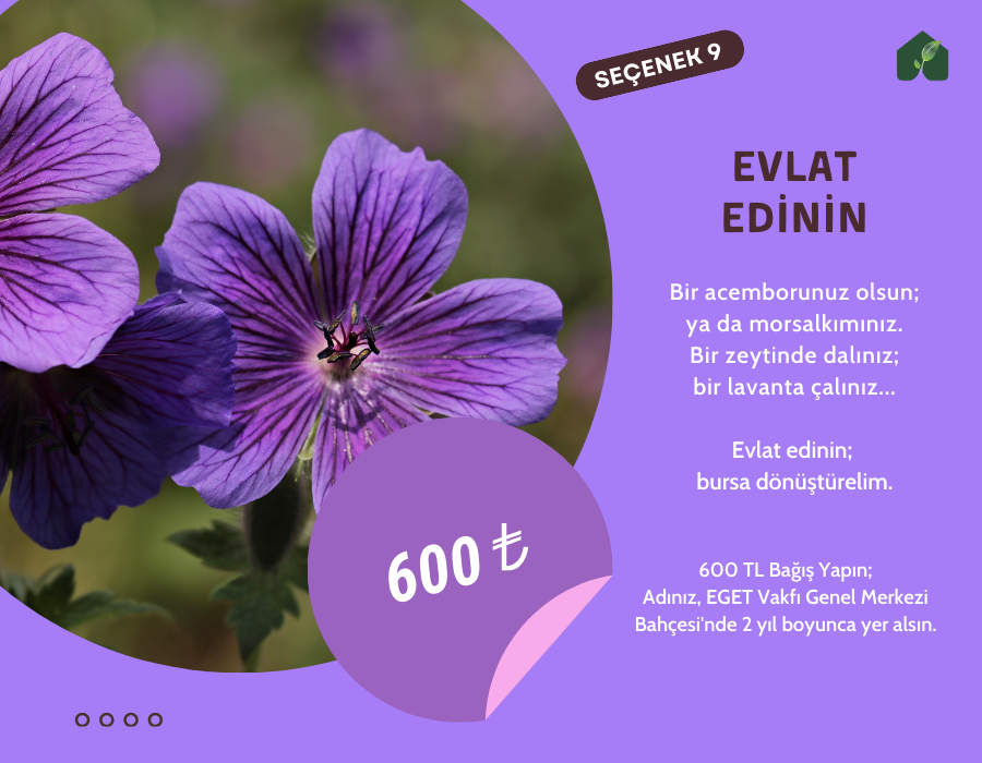 Evlat Edinin