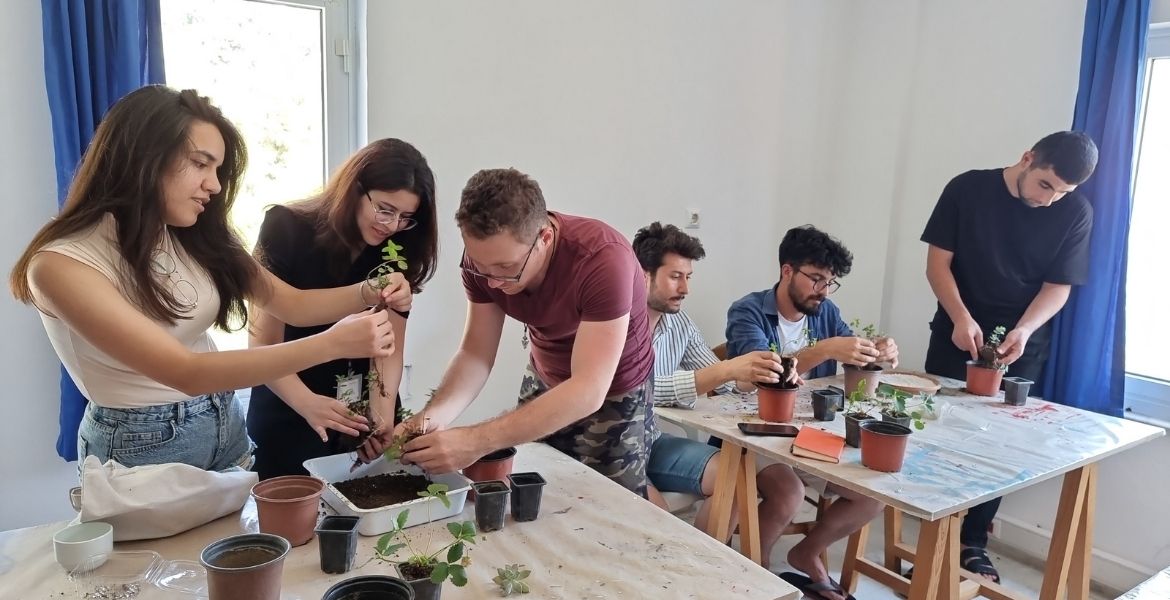 SİVRİSİNEĞE EN DOĞAL SPREY