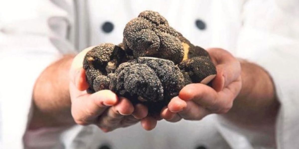 SOSYETENİN SİYAH ELMASI BURS OLACAK