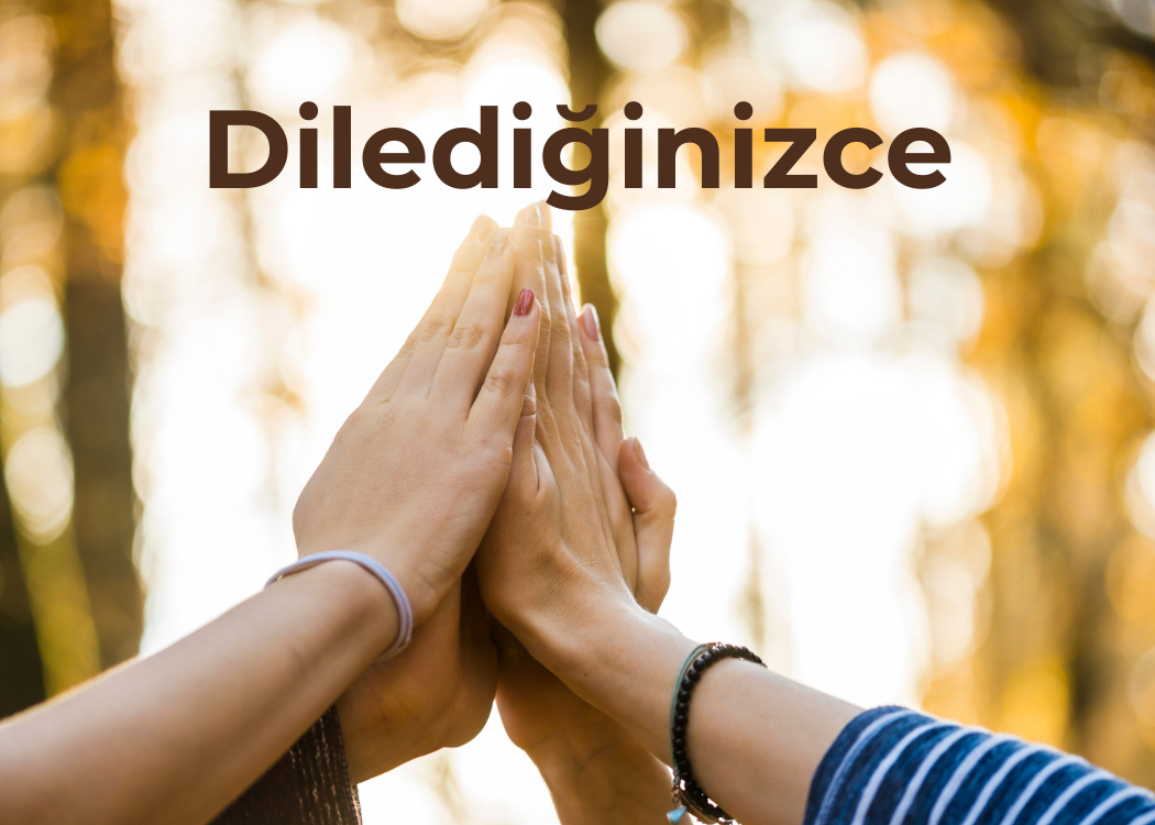 DİLEDİĞİNİZCE