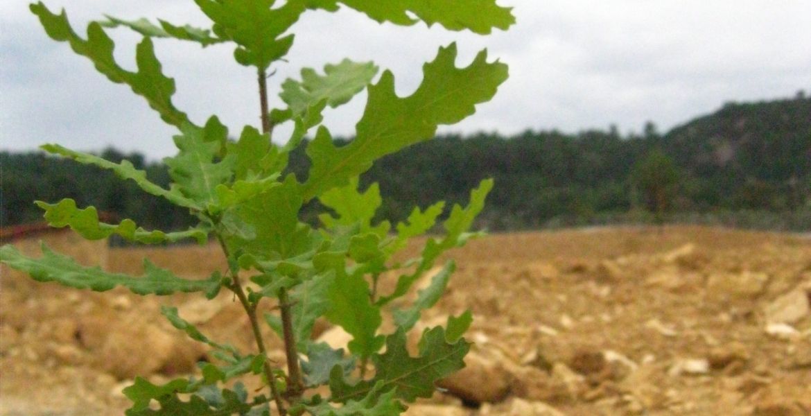 BAŞKAN GÜMÜŞ'E EĞİTİME DESTEK BELGESİ