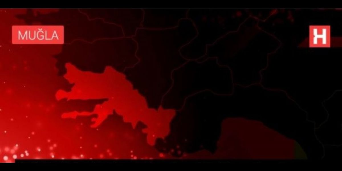 ÇİFTÇİLERİN TOPLADIĞI ZEYTİNLERİN GELİRİ ÖĞRENCİLERE BURS OLUYOR