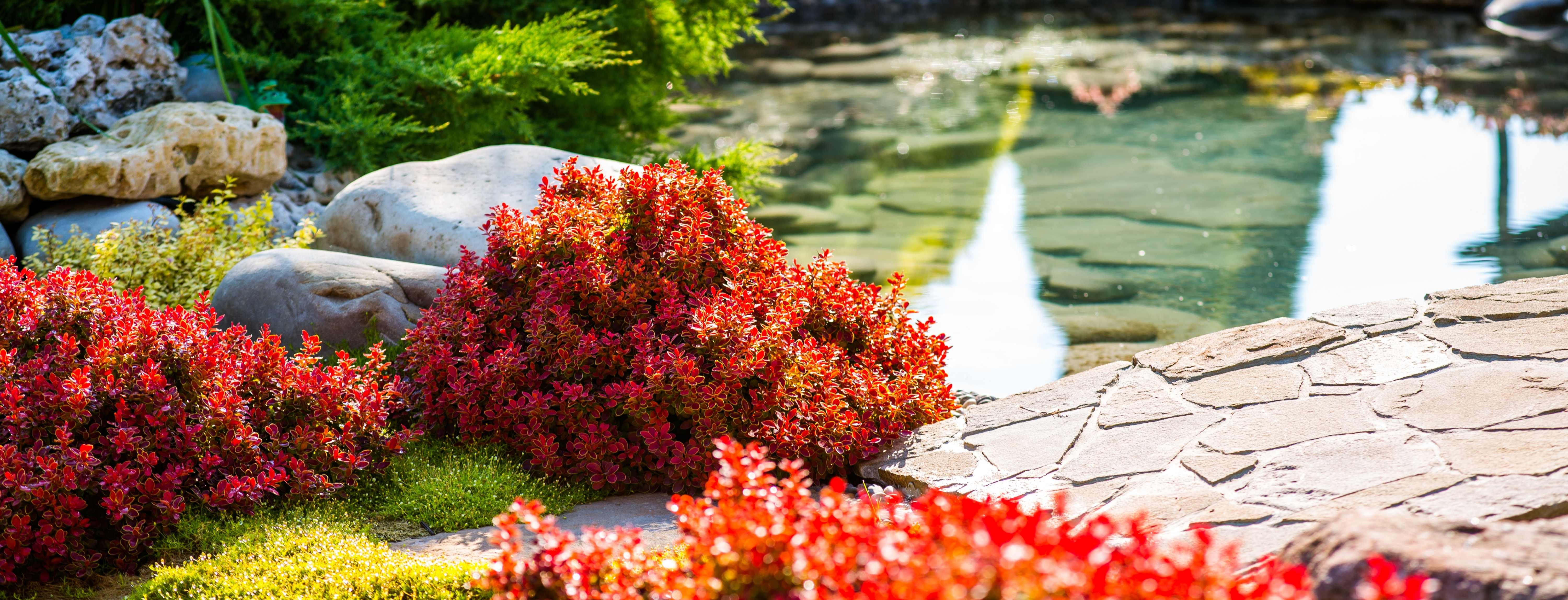 EGET TARIM VE TURİZM TİCARET LİMİTED ŞİRKETİ