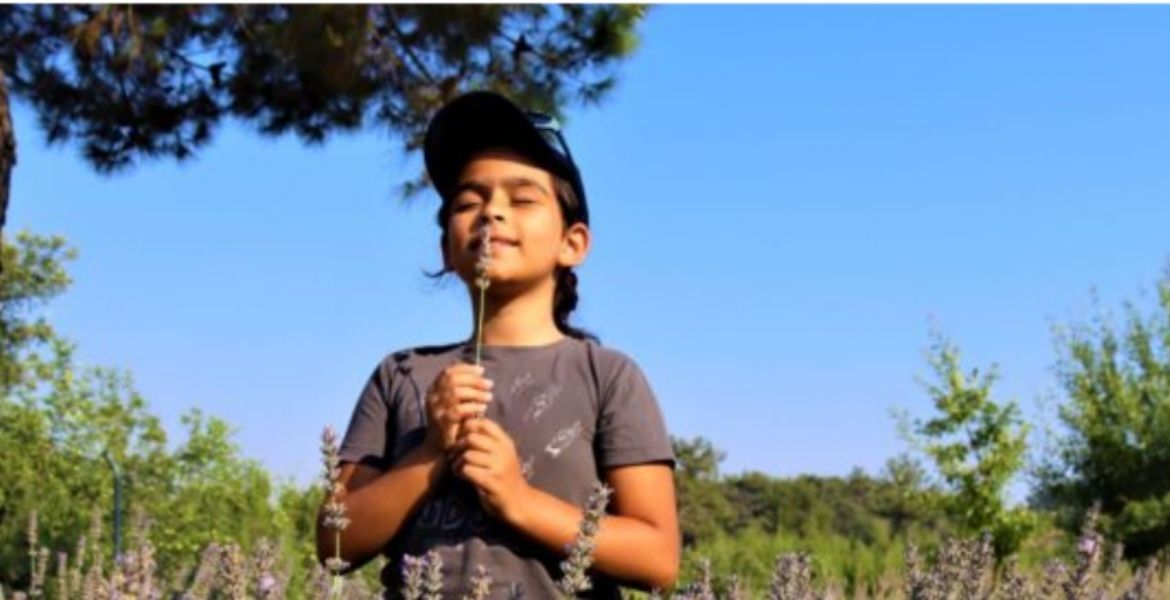 EGET VAKFI, 3. LAVANTA HASAT ŞENLİĞİ