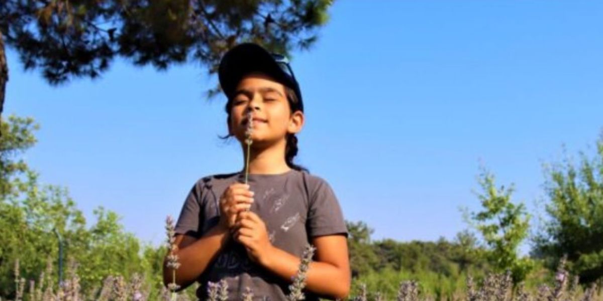 EGET VAKFI, 3. LAVANTA HASAT ŞENLİĞİ