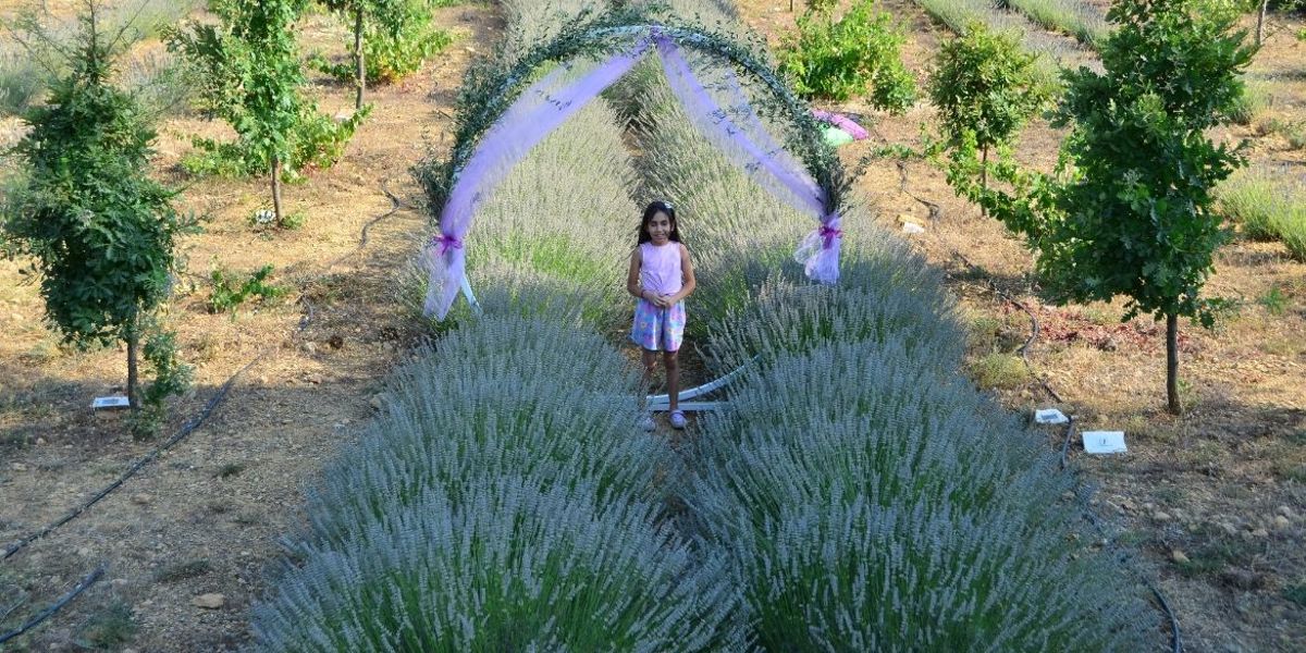 EGET’TEN ‘TOPRAKTAN ÖĞRENCİNİN CEBİNE’