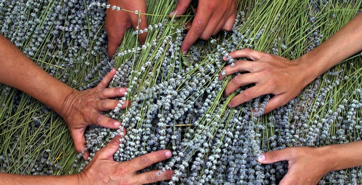 EGET VAKFI TRT RADYO 1 EKONOMİ GÜNLÜĞÜ PROGRAMINA KONUK OLDU